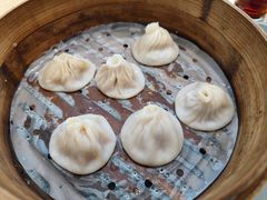 -老桐椿 · 上海大馄饨