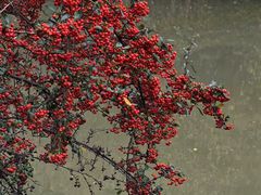 -黔灵山公园