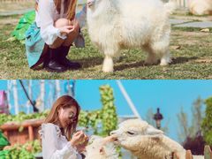 -云漫湖生态度假公园