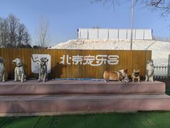 -宠乐会宠物乐园