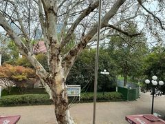 -橘洲1925湖湘餐厅