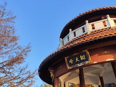 -江南天池