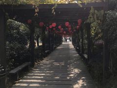 -白马涧龙池景区