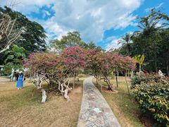 -中国科学院西双版纳热带植物园