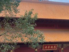 -深圳仙湖植物园