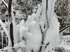 -陕西省红河谷森林公园