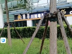 -YAFEE雅菲·粤菜·湘菜·融合菜(魏公村店)