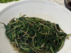 -丁老爷子苏香圆