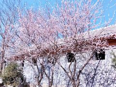 -三里河公园