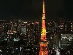 -六本木新城展望台(东京城市景观)