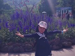 -南山植物园