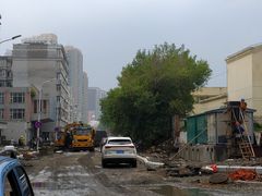 -哈尔滨道外花鸟鱼市场