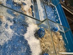 -福州西湖大酒店·怡湖咖啡厅