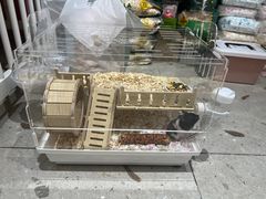 -FAELING PETS美天灵宠物(合生汇店)