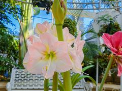 -石家庄市植物园