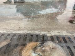 -北戴河集发农业梦想王国