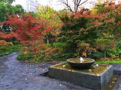 iphone_upload_pic-上海瑞金洲际酒店