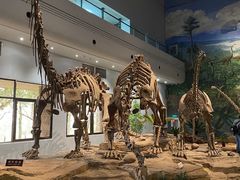 -自贡恐龙博物馆