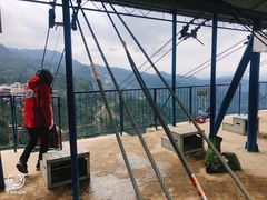 -梦幻奥陶纪景区