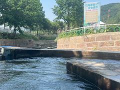 -天目湖松岭竹海漂流
