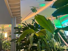 -桂满陇·蟹黄小笼汤包(清河万象店)