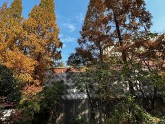 环境-和平官邸·花园餐厅(武定西路店)