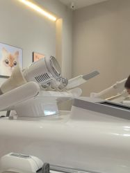 -洗脸猫·洗脸吧