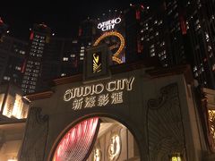 -影汇之星8字形摩天轮
