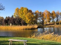 -安德鲁户外烧烤帐篷营地(马泉营店)