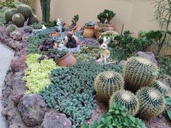 -正佳雨林生态植物园