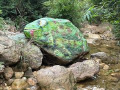 -南海湾森林生态园