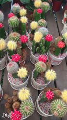 点击看大图 -源牌品粹新中式婚礼餐厅·宴会厅