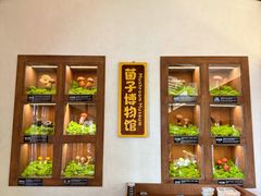 -菌自由丨野生菌火锅特色庭院餐厅(丽江古城店)