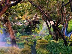 -Chom Cafe and Restaurant