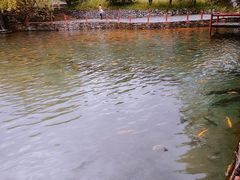 -丽江玉水寨