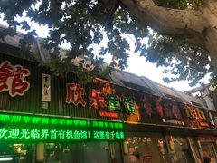 -全乐鱼馆·淳牌有机鱼直营店