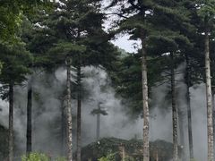-洛阳白云山景区
