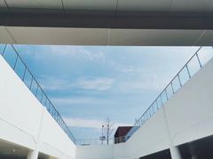 -猫的天空之城概念书店(杭州南宋御街店)