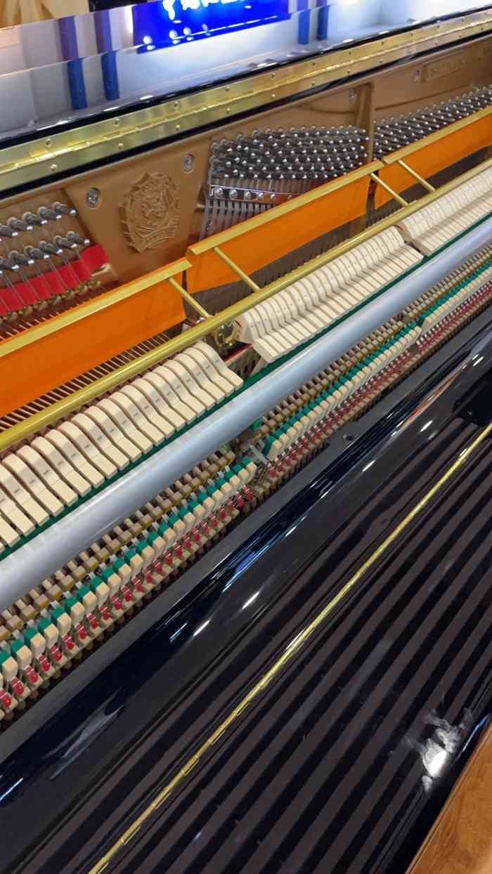 博加图琴行(南山旗舰店)-"看了三个月的钢琴,跑了不下十家琴行,原本.