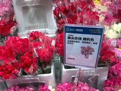 -盒马X会员店(上海森兰商都店)