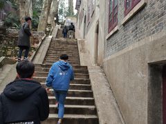 -武汉大学-樱园