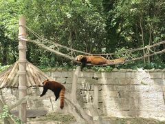 -上海野生动物园
