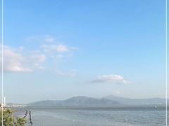 -福田红树林生态公园