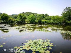 -白马涧龙池景区