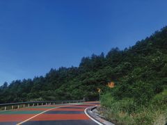 -武陵山森林公园