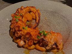 -Apollo·西班牙小酒馆(安福路店)