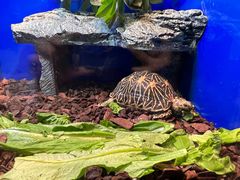 -上海海洋水族馆