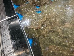 -盒马鲜生(联投广场店)