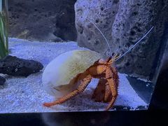 -暹罗海洋世界