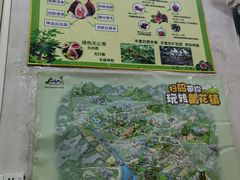 -银峰农庄·特色烧鸡·鲜无花果浸鸡